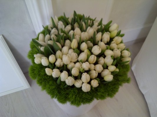 vaso tulipani e greentrick